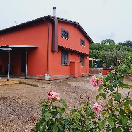 Country House Dolce Nocciola Vignanello Екстериор снимка