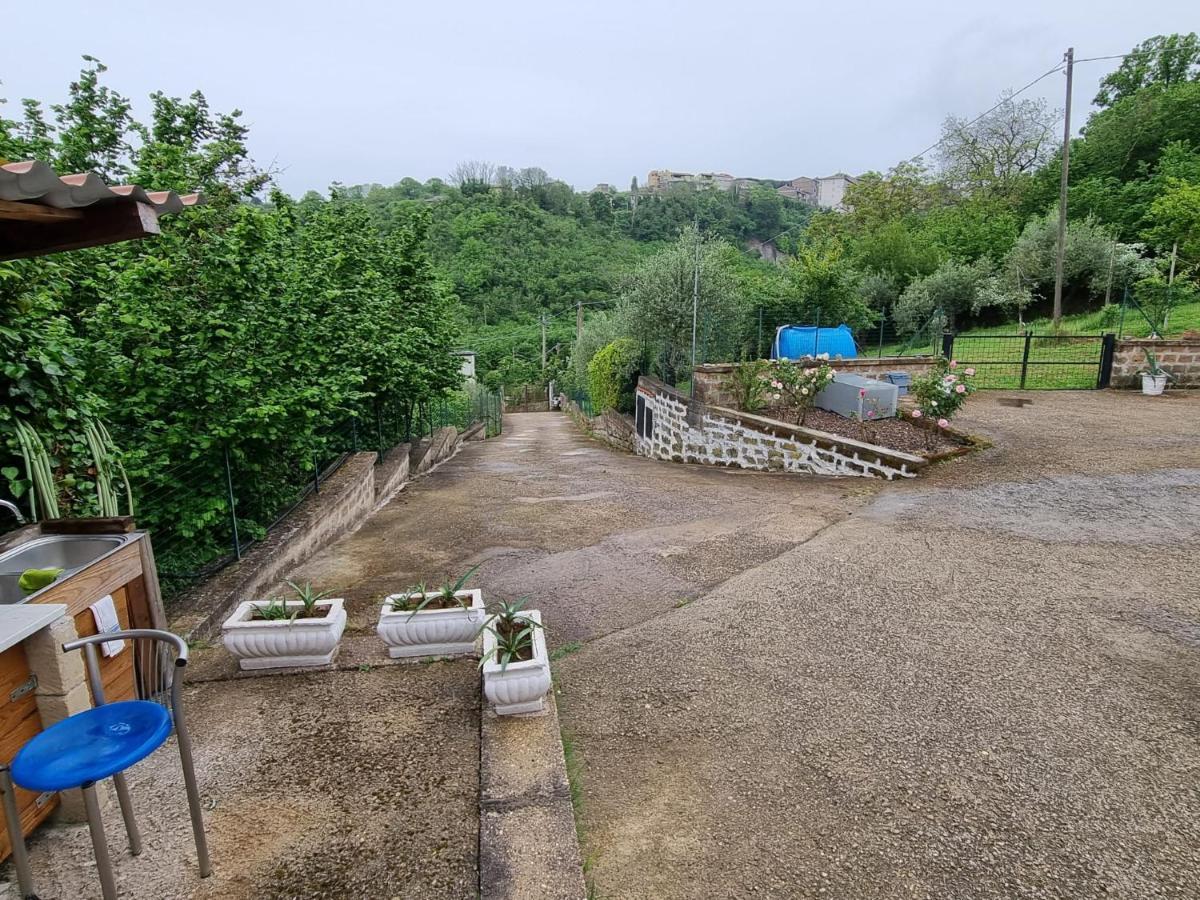 Country House Dolce Nocciola Vignanello Екстериор снимка