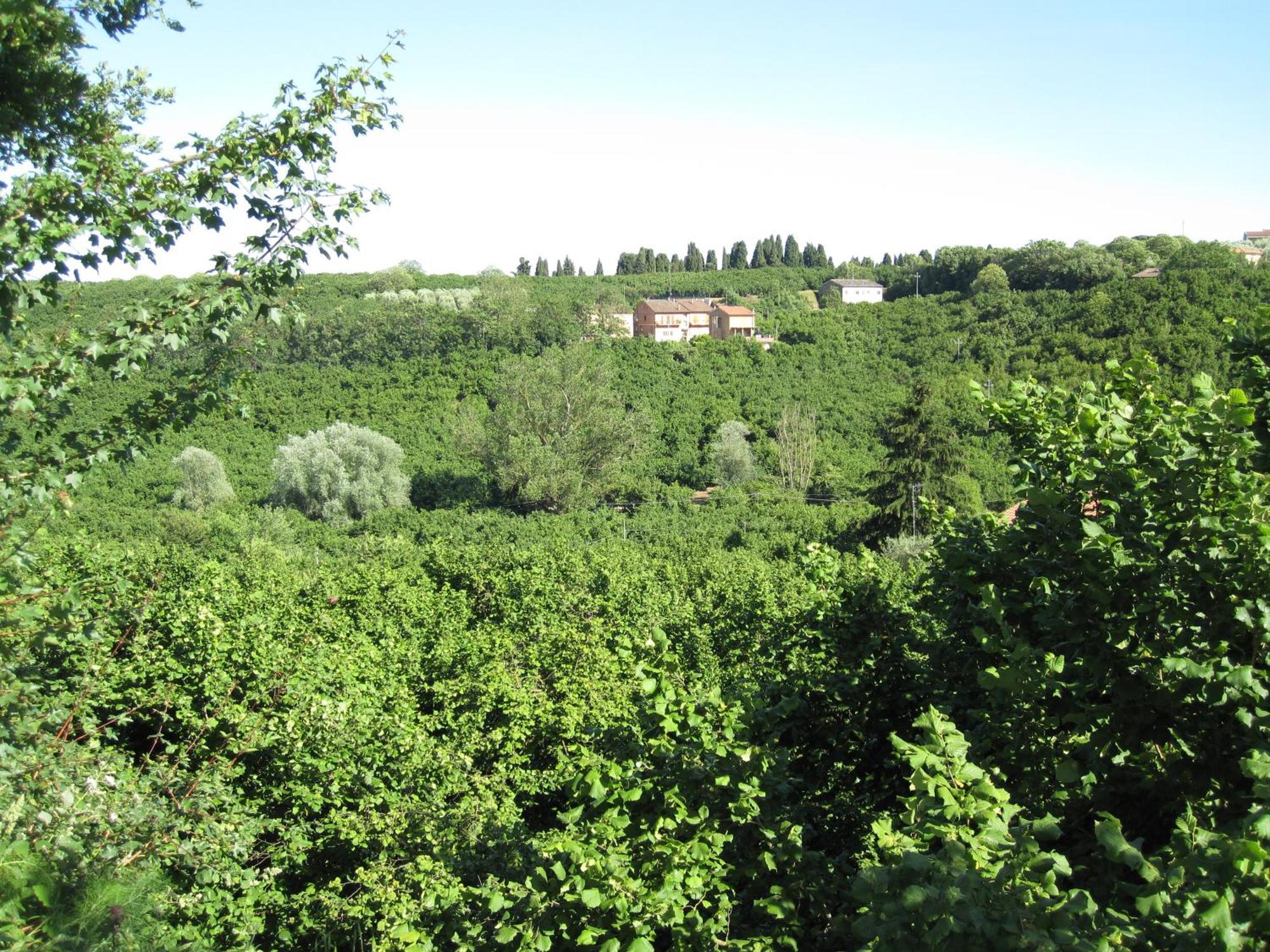 Country House Dolce Nocciola Vignanello Екстериор снимка